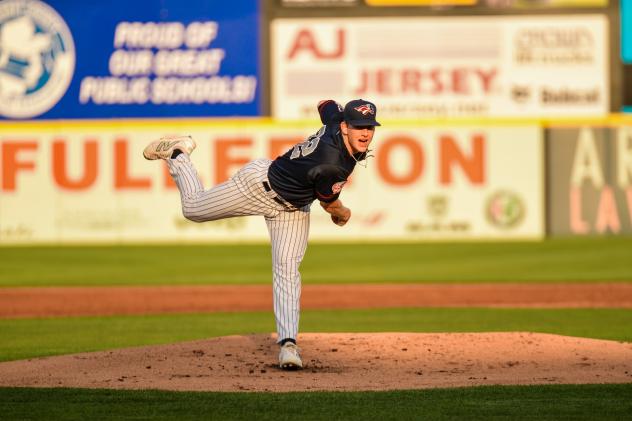 Somerset Patriots' Trystan Vrieling in action