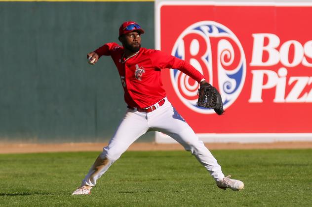 Winnipeg Goldeyes in action