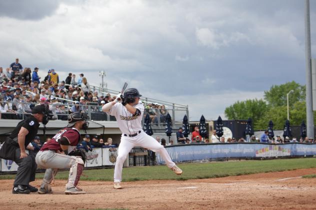 Jake Surane at bat for the Fond du Lac Dock Spiders