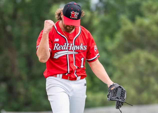 Fargo-Moorhead RedHawks pitcher Davis Feldman