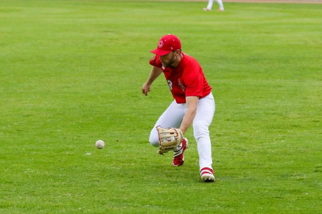 Winnipeg Goldeyes in action