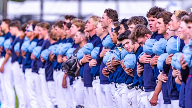 Victoria HarbourCats on game night
