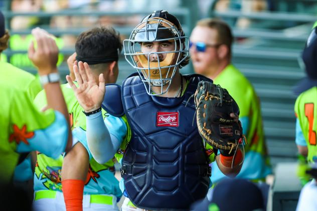 Columbia Fireflies catcher Blake Mitchell
