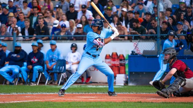 Victoria HarbourCats' Lucas Ramirez at bat