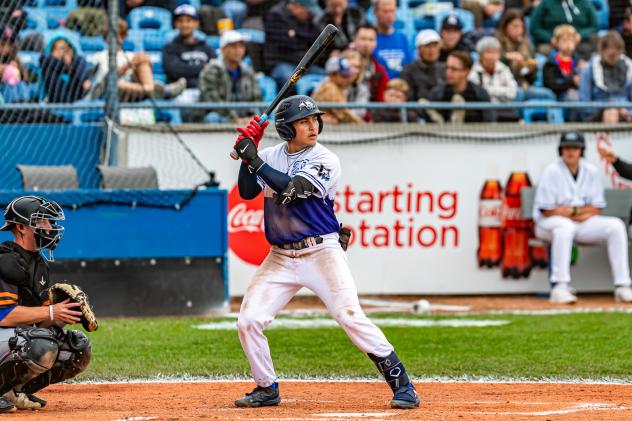 Victoria HarbourCats' Gunner Antillon at bat