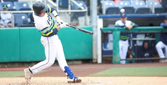 Andrew Miller of the Everett AquaSox