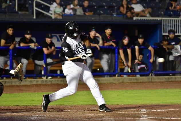 Biloxi Shuckers' Zavier Warren at bat