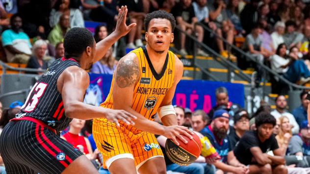Brampton Honey Badgers battle the Montreal Alliance
