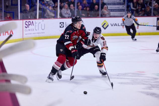 Vancouver Giants forward Tyler Thorpe