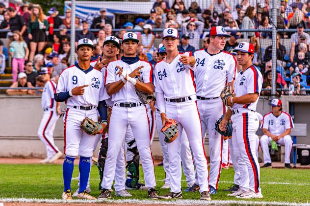 Victoria HarbourCats on game day