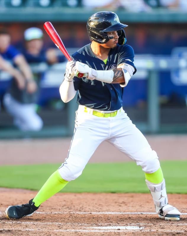 Columbia Fireflies' Erick Torres at bat