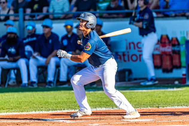 Victoria HarbourCats' Michelle Artzberger at bat