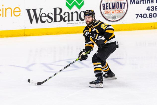 Wheeling Nailers defenseman Louie Roehl