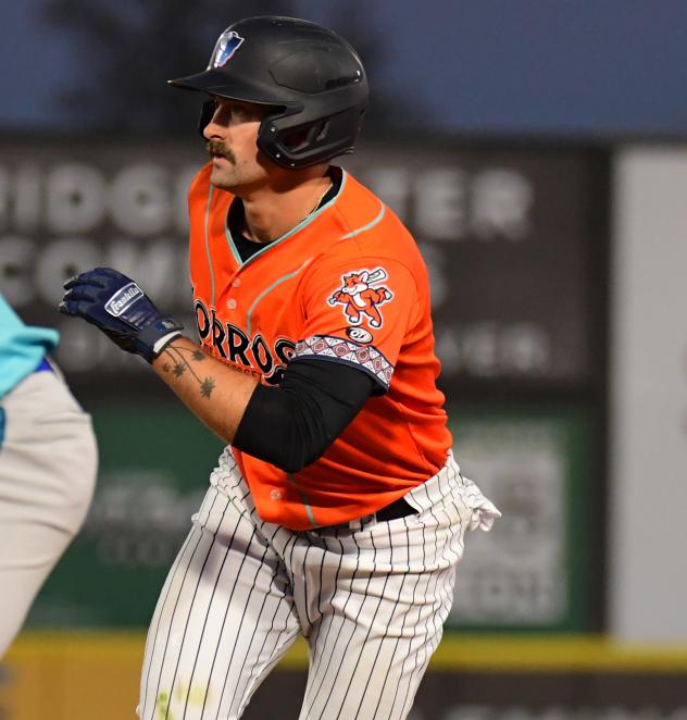 Somerset Patriots' Aaron Palensky in action