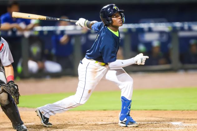 Columbia Fireflies' Jhonny Perdomo in action
