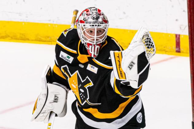 Wheeling Nailers goaltender Jaxon Castor