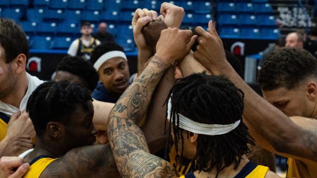 Edmonton Stingers celebrate win