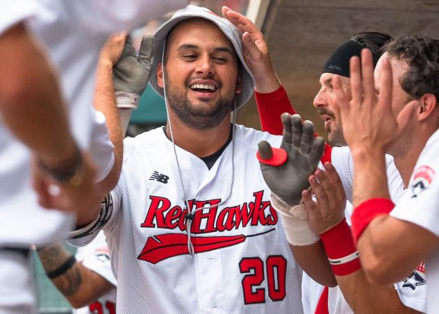 Fargo-Moorhead RedHawks' Drew Ward