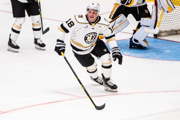 Shaw Boomhower with the Wheeling Nailers