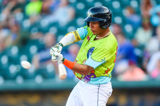 Columbia Fireflies' Lizandro Rodriguez at bat