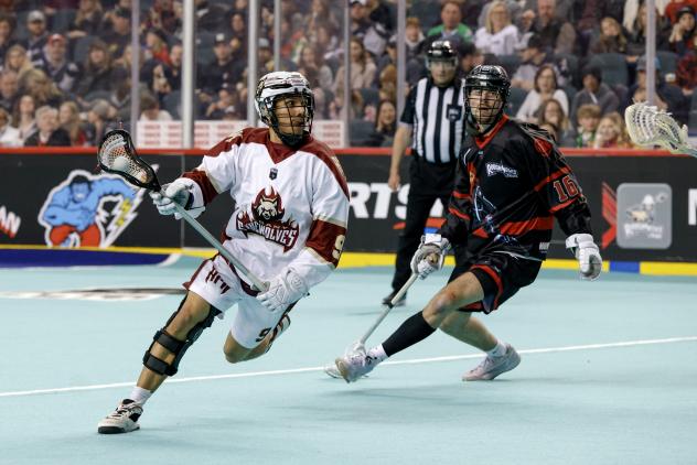 Albany Firewolves forward Travis Longboat