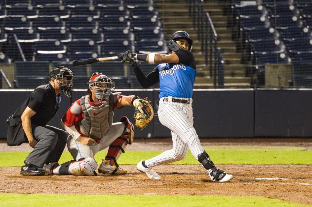 Tampa Tarpons at bat