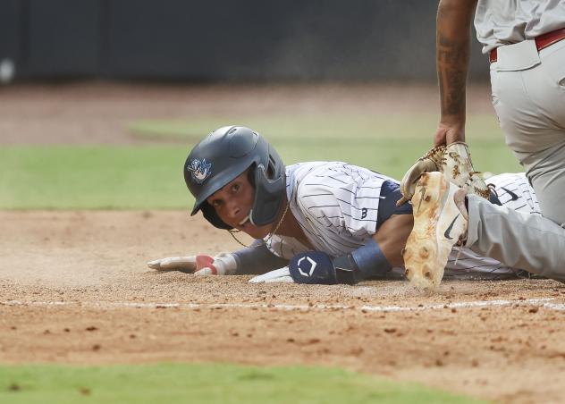 Tampa Tarpons in action