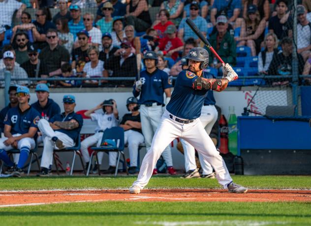 Victoria HarbourCats' Cam Schneider ay bat