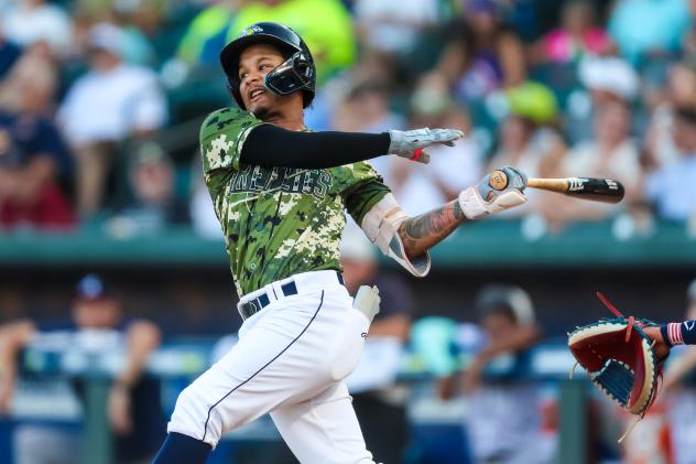 Erick Torres of the Columbia Fireflies