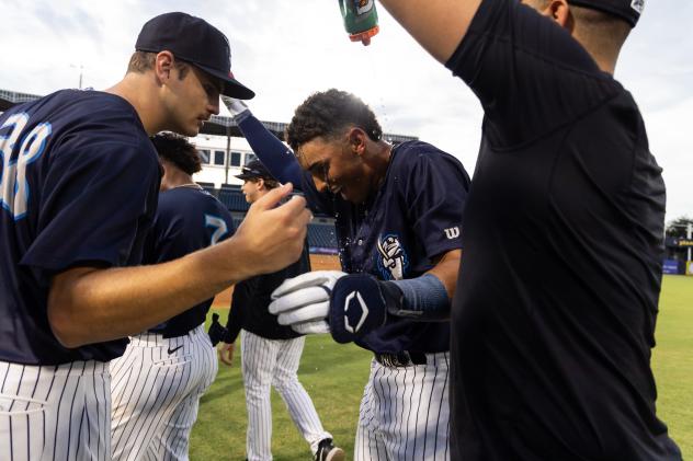 Tampa Tarpons celebrate win