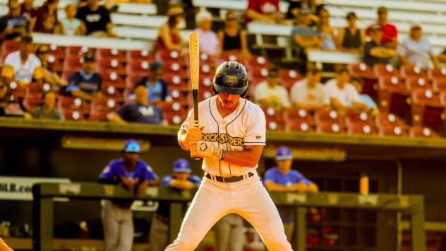 Fond du Lac Dock Spiders' Drew Barragan at bat