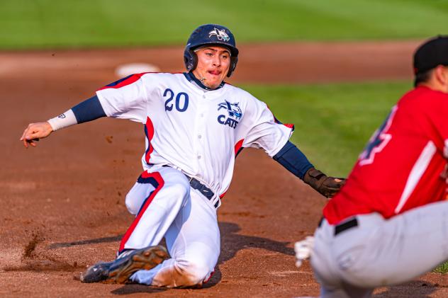 Victoria HarbourCats' Gunner Antillonin action