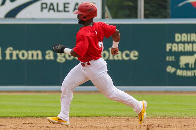 Winnipeg Goldeyes' Miles Simington in action