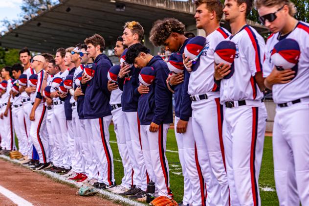 Victoria HarbourCats on game day