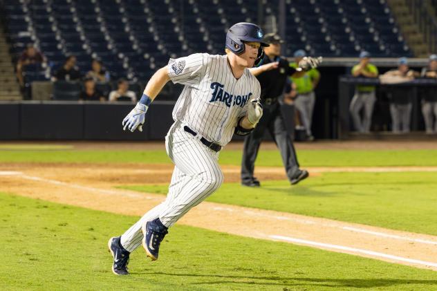 Tampa Tarpons in action