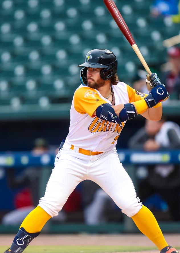 Columbia Fireflies' Blake Mitchell at bat