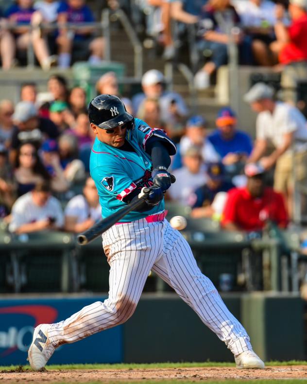 Jose Trevino of the Somerset Patriots