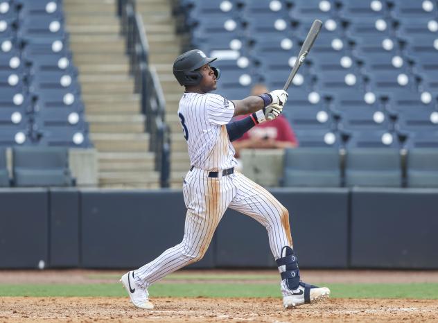 Tampa Tarpons with a big swing