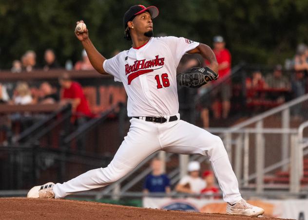 Fargo-Moorhead RedHawks' Braunny Munoz on the mound