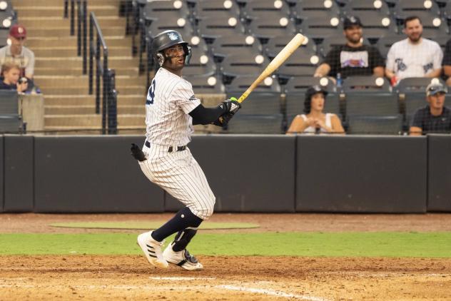Tampa Tarpons shortstop Roderick Arias