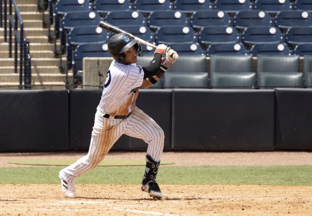 Tampa Tarpons at the plate
