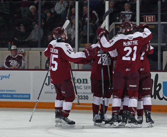Peterborough Petes celebrate a goal