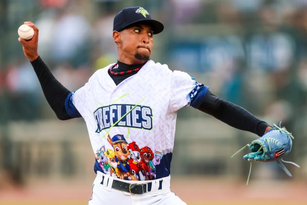 Columbia Fireflies' Felix Arronde on the mound