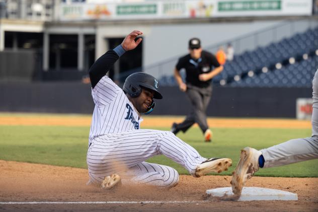 Tampa Tarpons in action