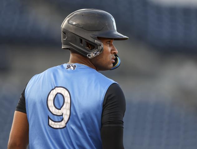 Tampa Tarpons shortstop Roderick Arias