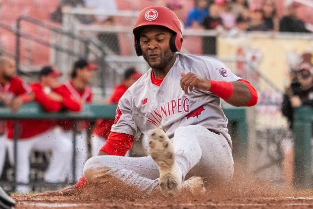 Evan Alexander of the Winnipeg Goldeyes with a slide