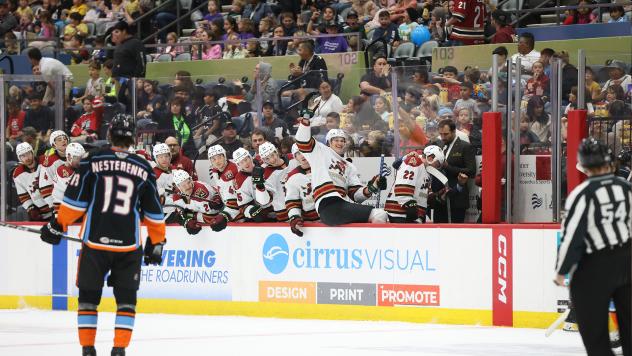 Tucson Roadrunners' bench celebrates