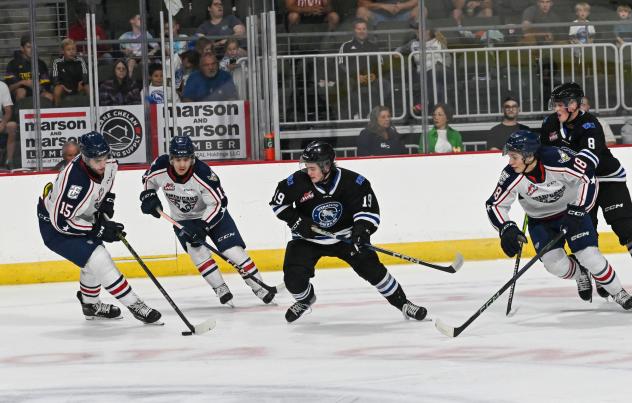 Wenatchee Wild forward Miles Cooper