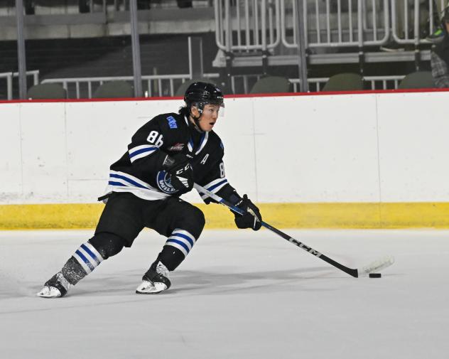 Wenatchee Wild forward Kenta Isogai