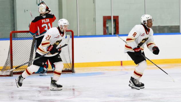 Vancouver Giants centres Adam Titlbach (left) and Aaron Obobaifo